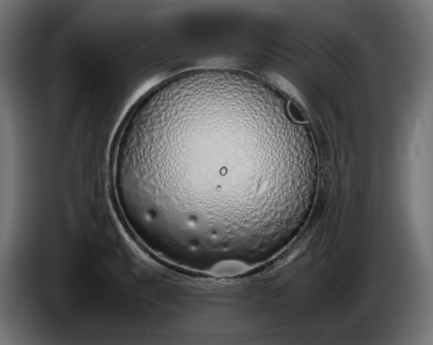 X0000086311087200704131626