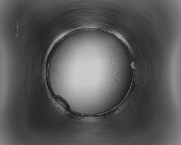 X0000086311088200704131626