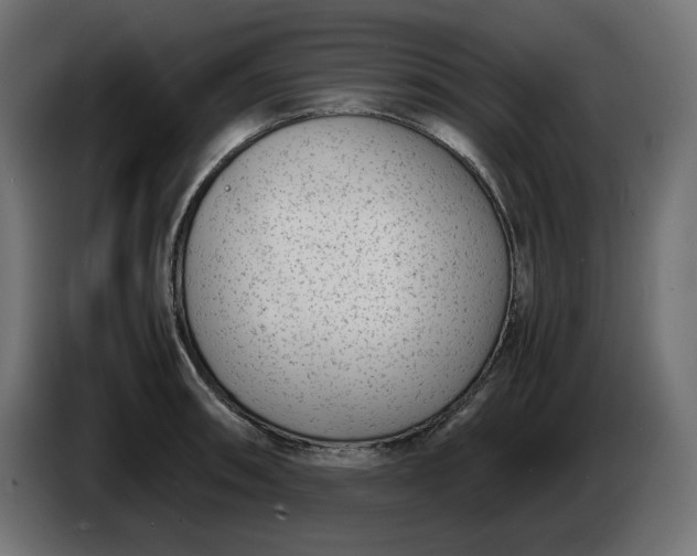 X0000086311090200704131626