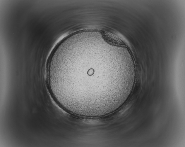 X0000086311095200704131626