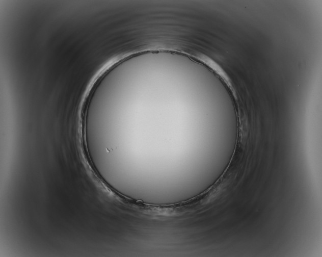 X0000086311096200704131626