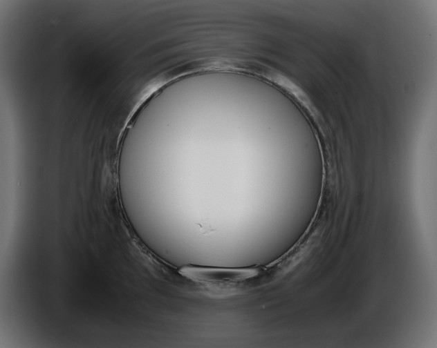 X0000086311097200704131626