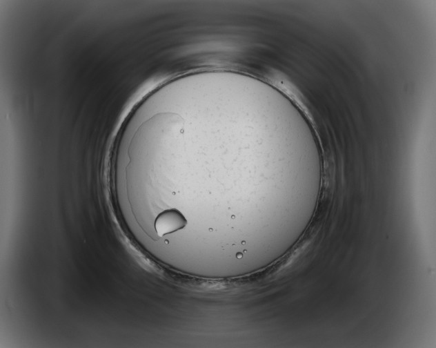 X0000086311098200704131626