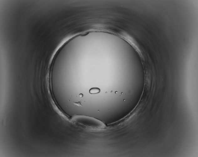 X0000086311100200704131626