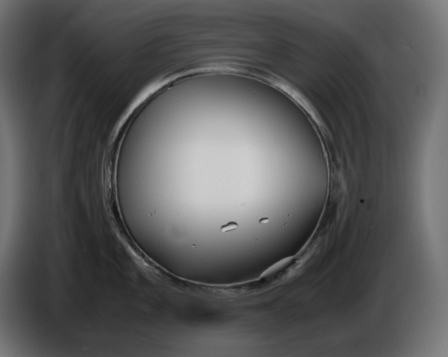 X0000086311101200704131626