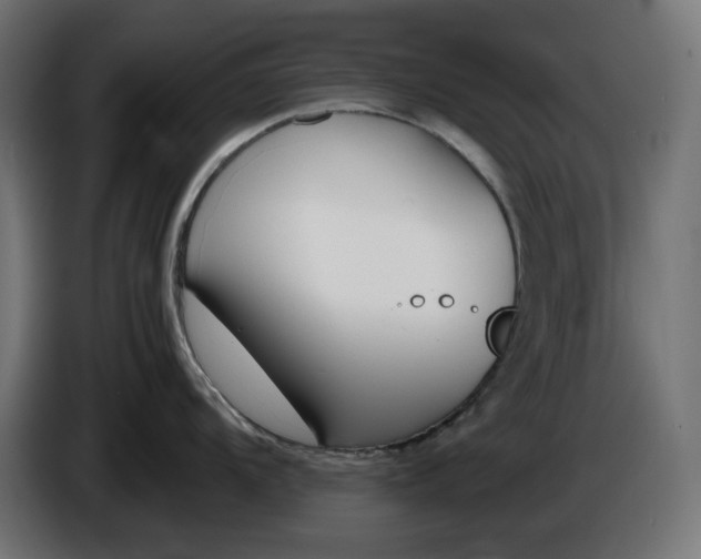 X0000086311104200704131626