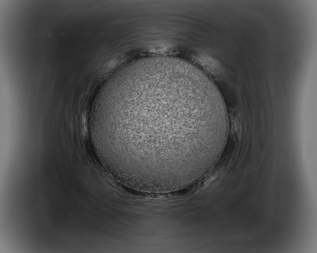 X0000086311106200704131625