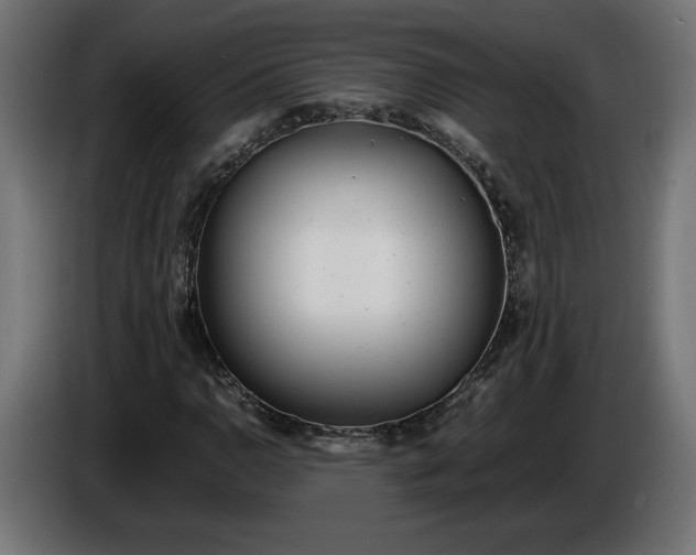 X0000086311110200704131625