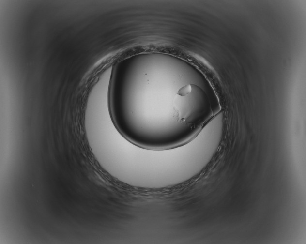 X0000086311112200704131625
