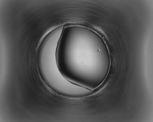 X0000086311114200704131625