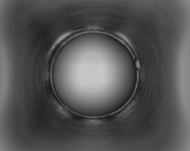 X0000086311115200704131625