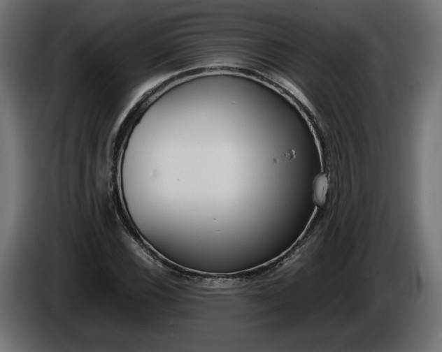 X0000086311116200704131625