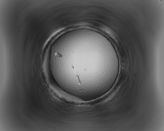 X0000086311117200704131625