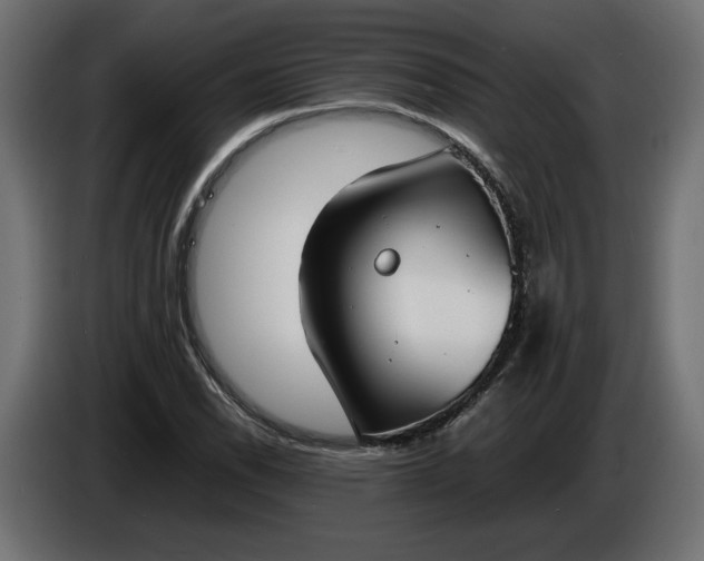 X0000086311118200704131625