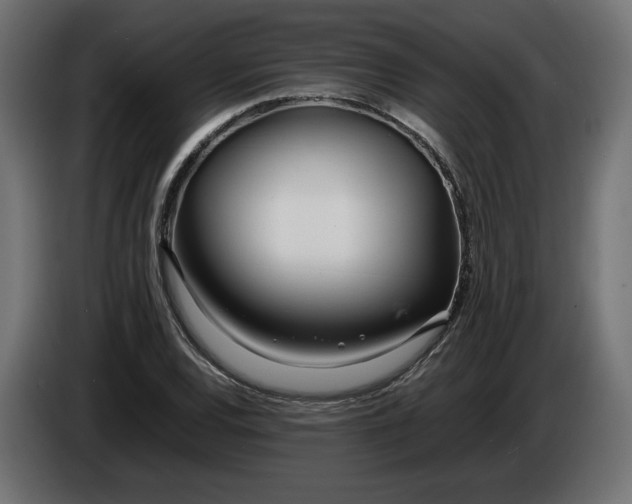 X0000086311120200704131625