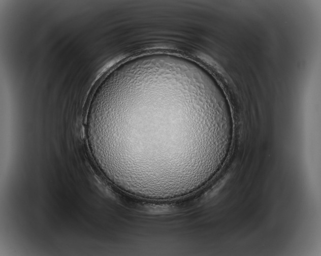 X0000086311121200704131625