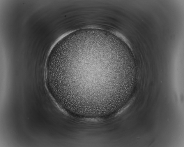 X0000086311125200704131625