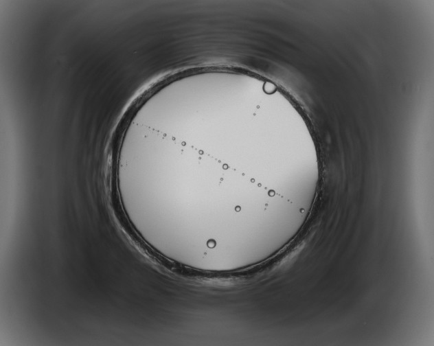 X0000086311126200704131625