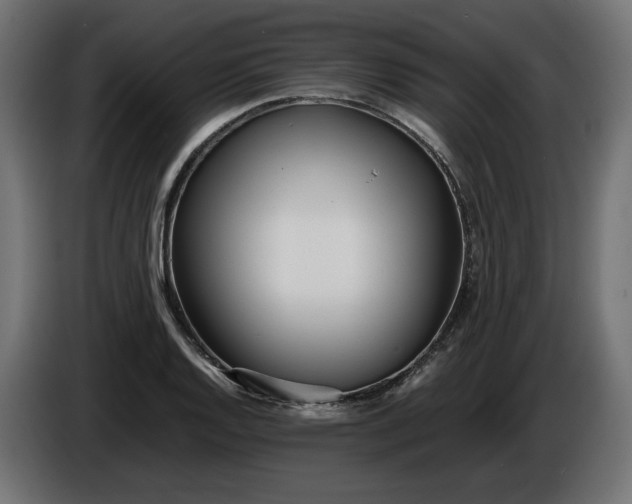 X0000086311128200704131625