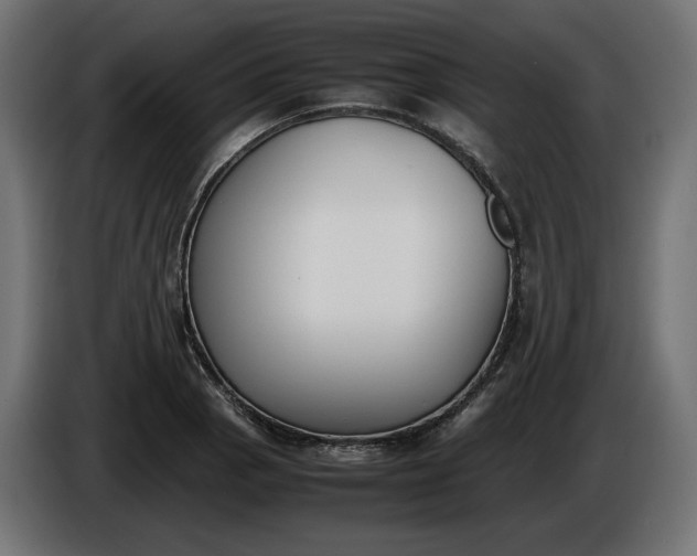 X0000086311129200704131625