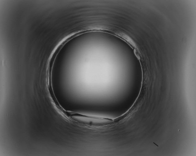 X0000086311132200704131625