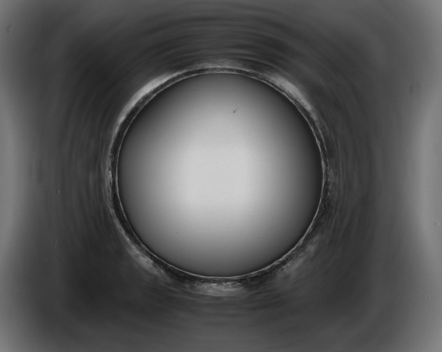 X0000086311133200704131625