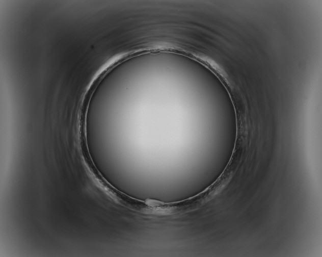 X0000086311134200704131625