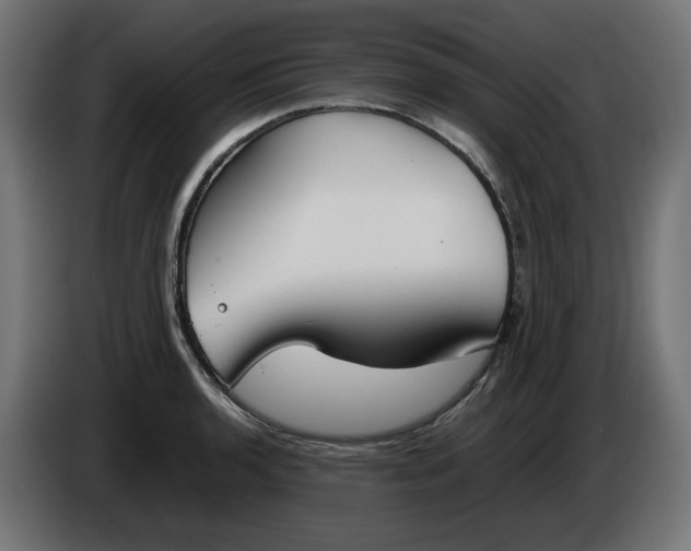 X0000086311136200704131625
