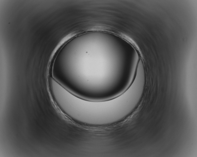 X0000086311138200704131625