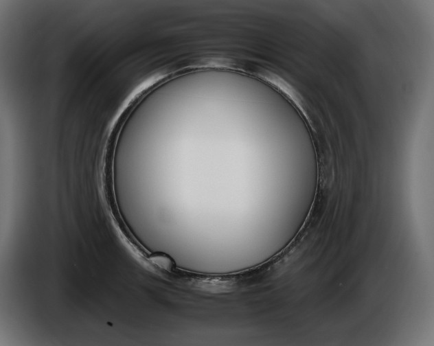 X0000086311139200704131626