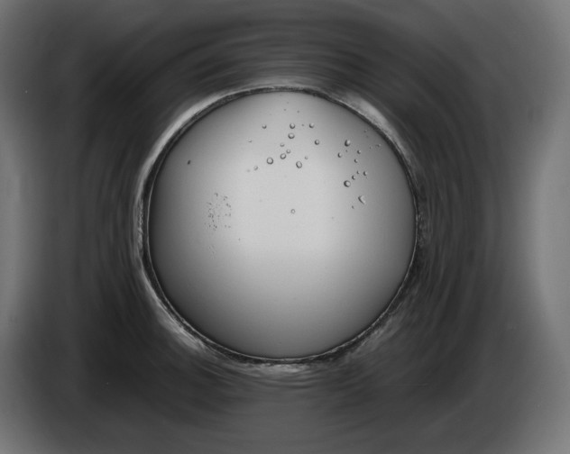 X0000086311140200704131626