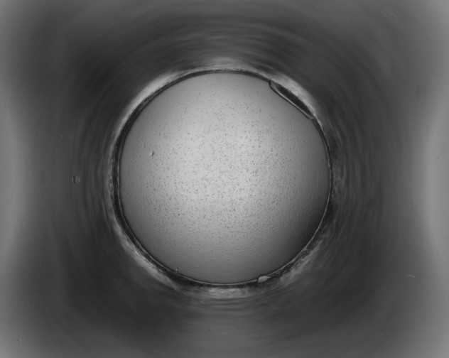 X0000086311142200704131626