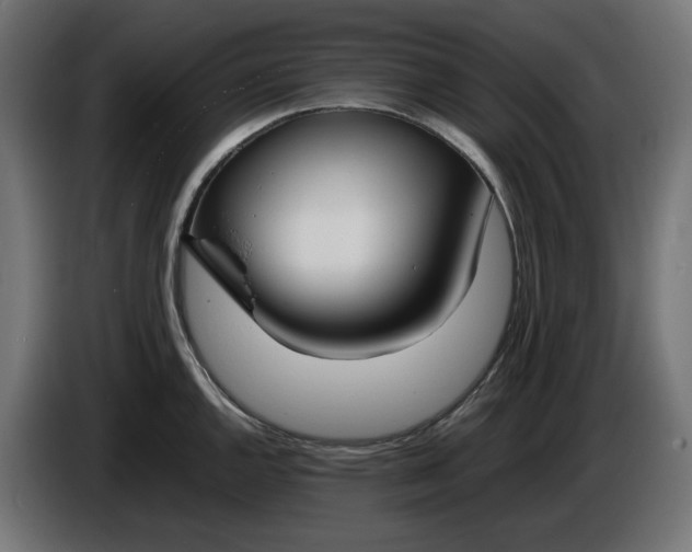 X0000086311144200704131626