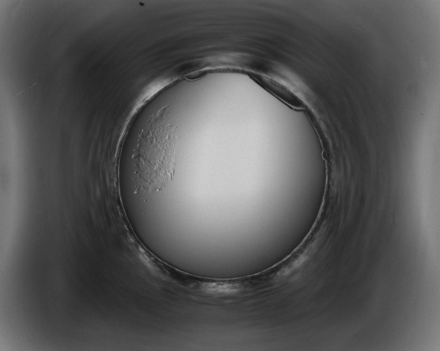 X0000086311145200704131626