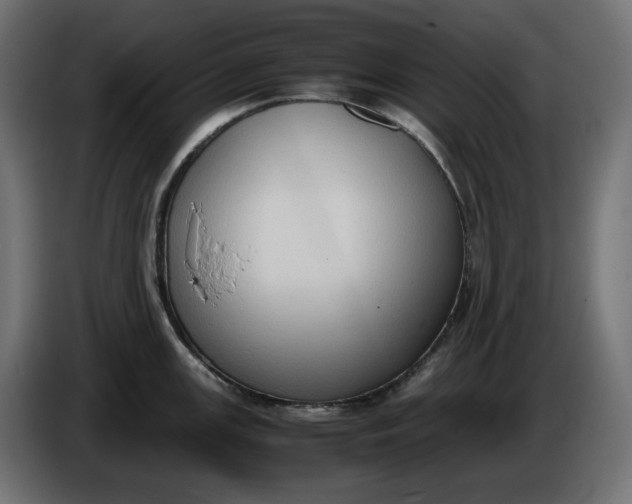 X0000086311147200704131626