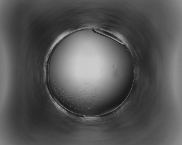X0000086311151200704131626