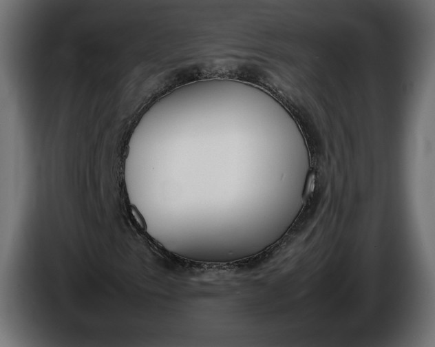 X0000086311153200704131625