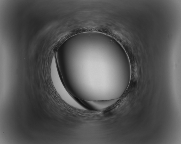 X0000086311157200704131625