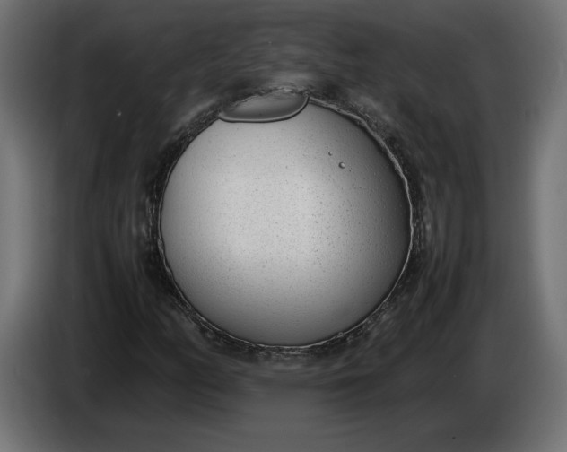 X0000086311158200704131625