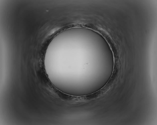 X0000086311159200704131625