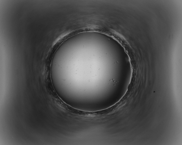X0000086311160200704131625