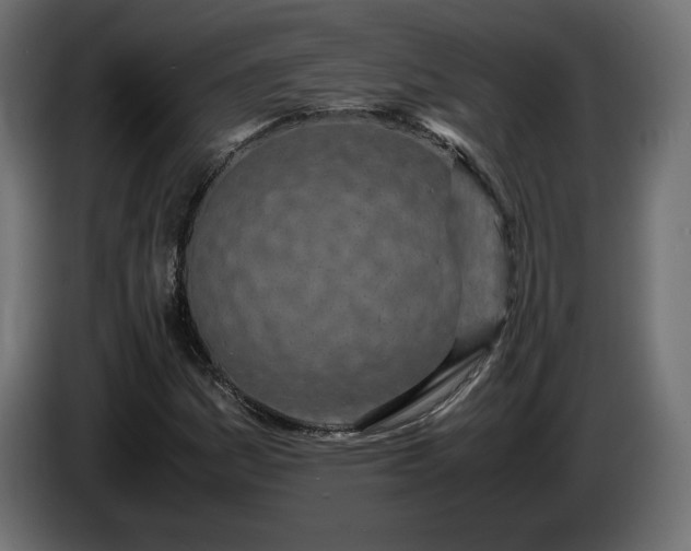 X0000086311161200704131625