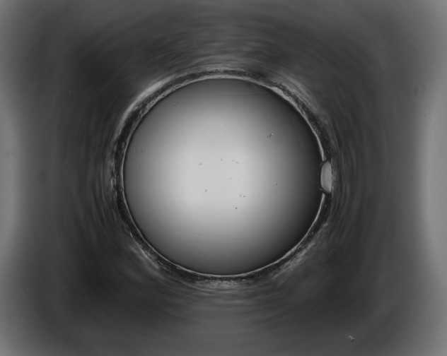 X0000086311164200704131625