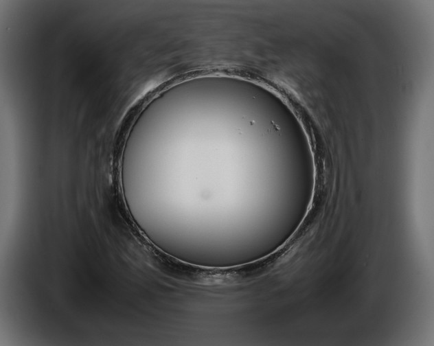 X0000086311165200704131625