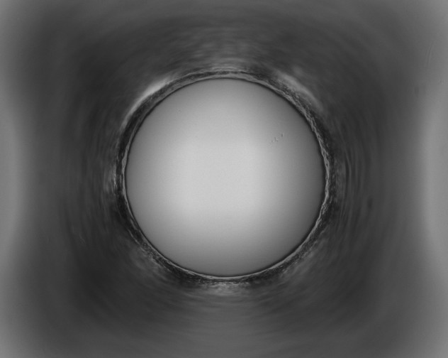 X0000086311166200704131625