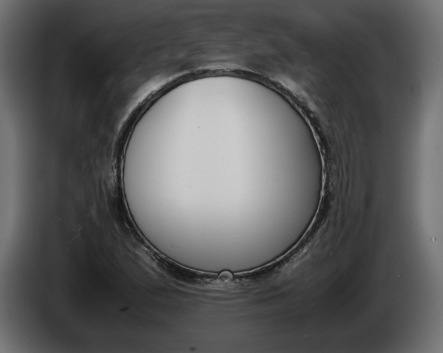 X0000086311167200704131625