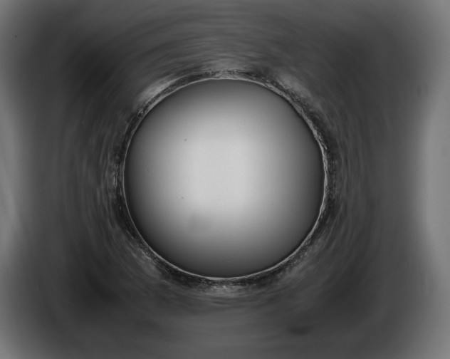 X0000086311169200704131625