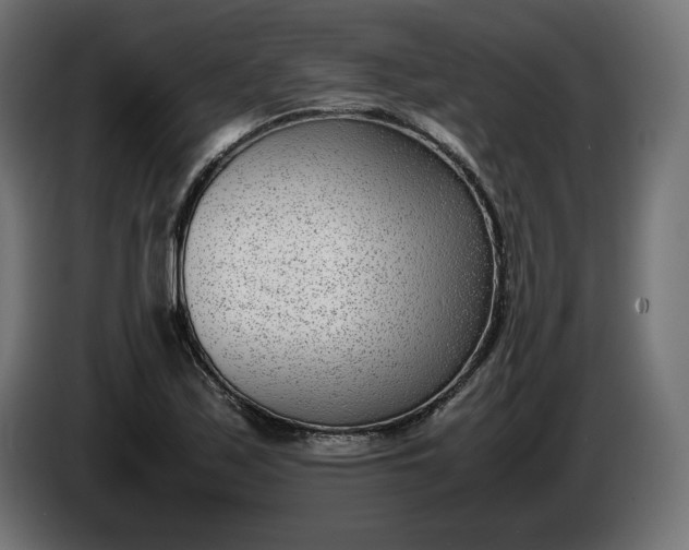 X0000086311171200704131625