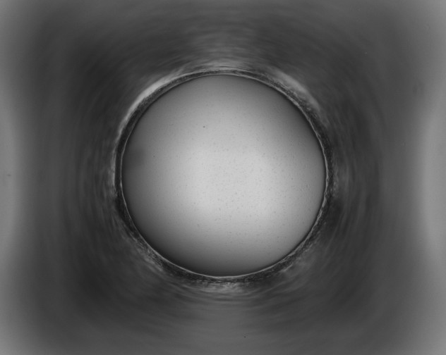 X0000086311174200704131625