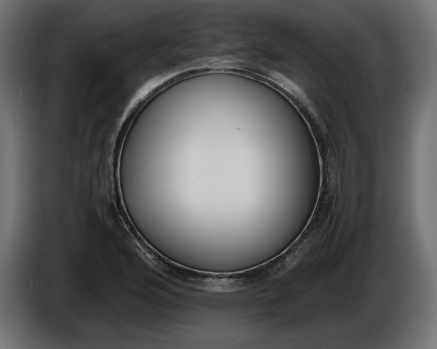 X0000086311176200704131625